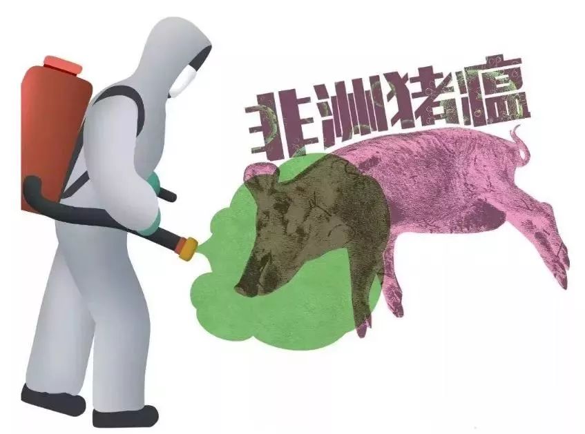 嚴格執(zhí)行“十不得” 確保非洲豬瘟疫情不反彈