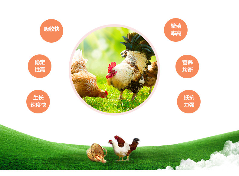 2020年10月份全國飼料生產(chǎn)形勢