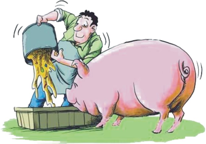 農業農村部辦公廳關于印發《2021年飼料質量安全監管工作方案》的通知
