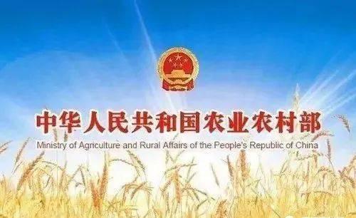 推進“存欄萬量規模”加快發展?農業農村部答復,適度規模經營!
