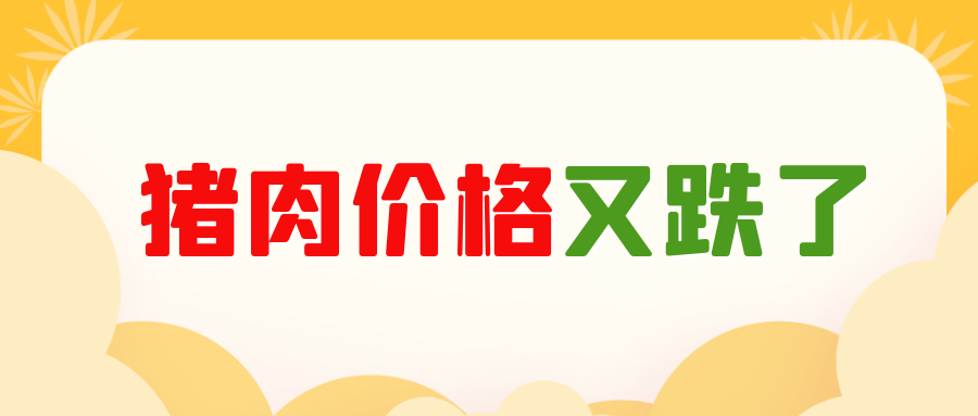 豬價下跌周期何時結束