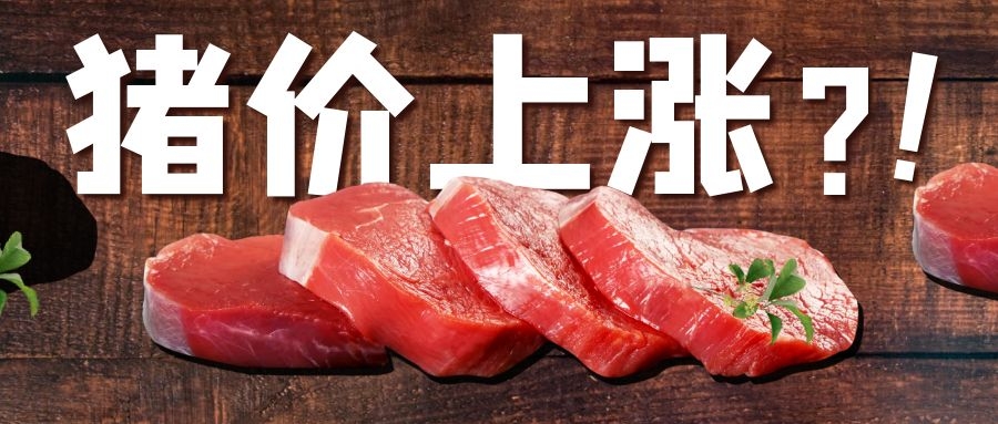 CFT第20周周評：豬價震蕩偏強，價格重心繼續(xù)上移預判不改!